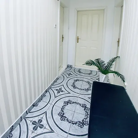 Kiwi * Sarajevo