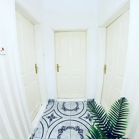 Kiwi *